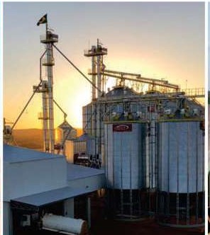 Silos elevados con estructura de transporte